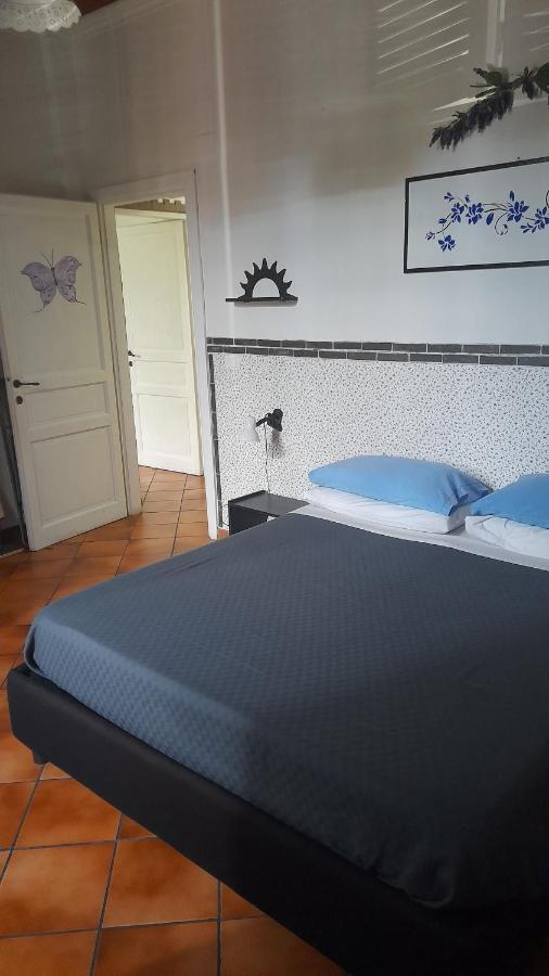 Testaccio Alloggio Turistico 罗马 外观 照片
